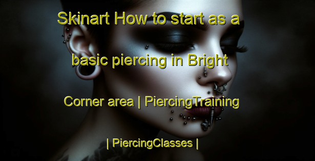 Skinart How to start as a basic piercing in Bright Corner area | PiercingTraining | PiercingClasses | SkinartTraining-United States